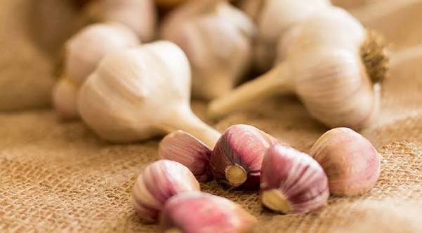 Hlavičky a stroužky česneku na jutě